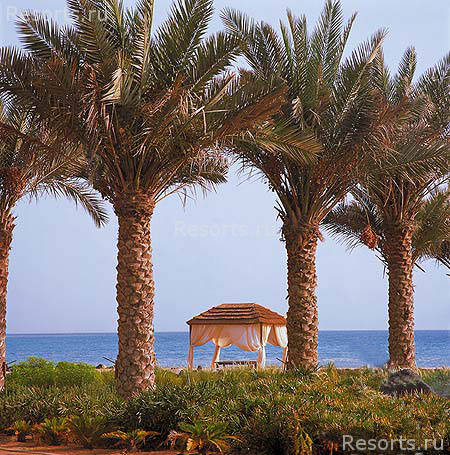Danat Resort Jebel Dhanna 24